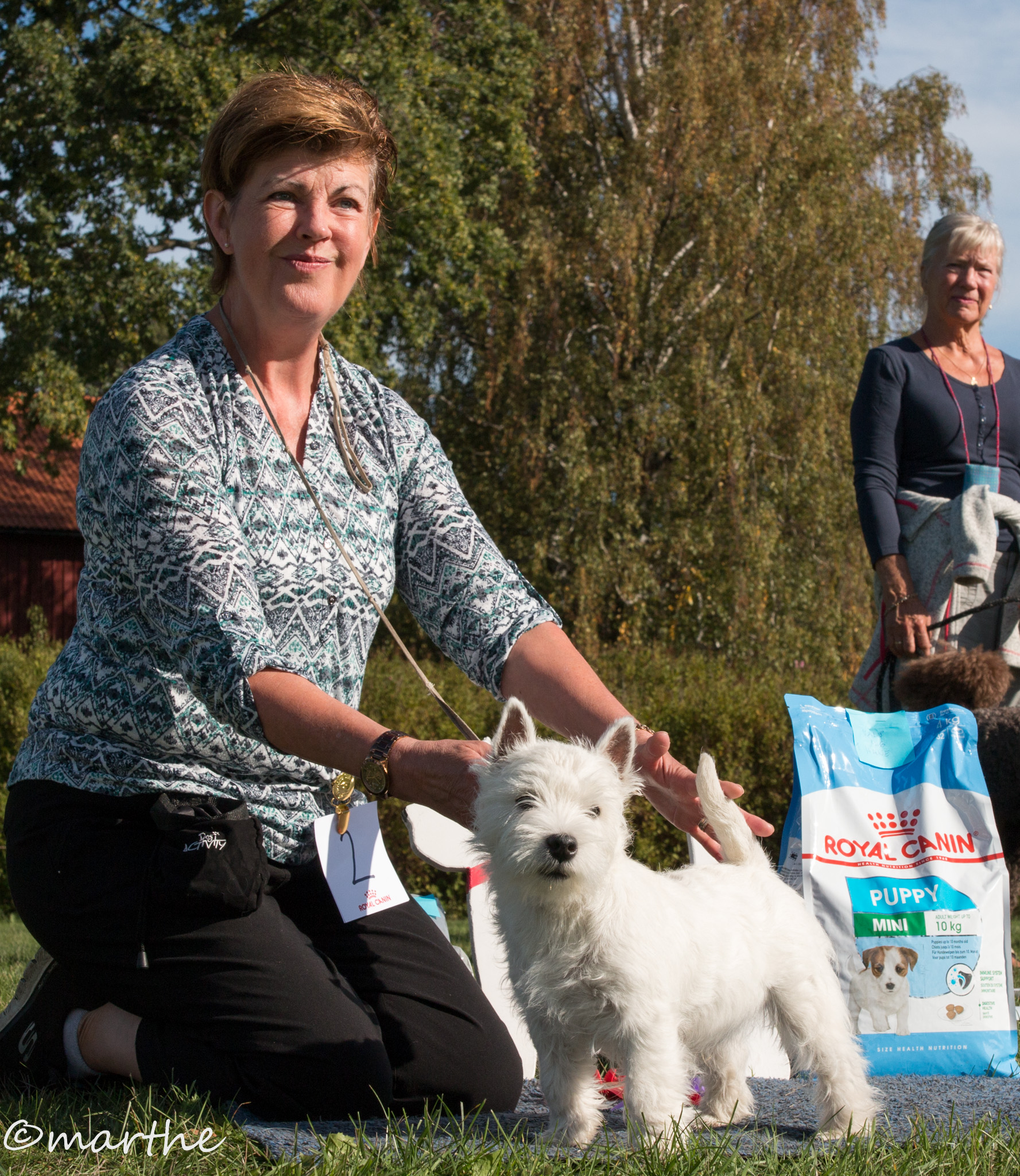 stWestie 2018 09 09 BIM Valp 4 6 mn Superior White Lipton 2