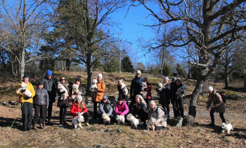 Glöggprommis241201