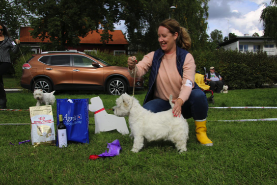 Best in Show Veteran