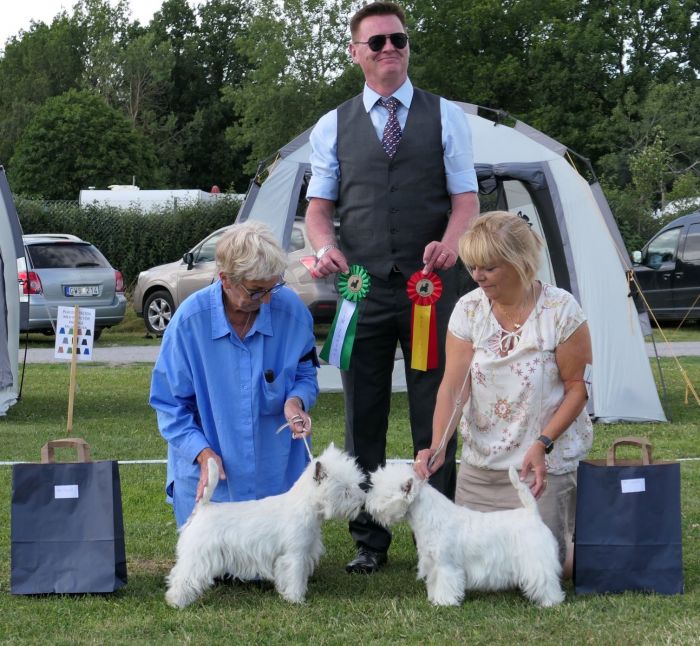 WA BIM och BIR Junior