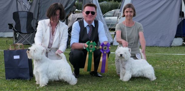 WA BIR och BIM veteran