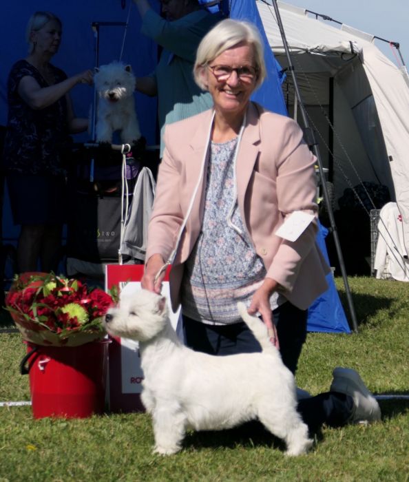 WA Basta valp 9  258