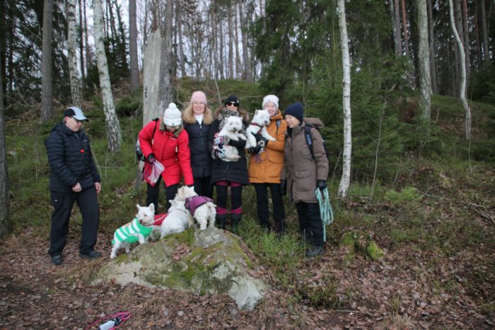 318303436 3126053910648699422 n 315