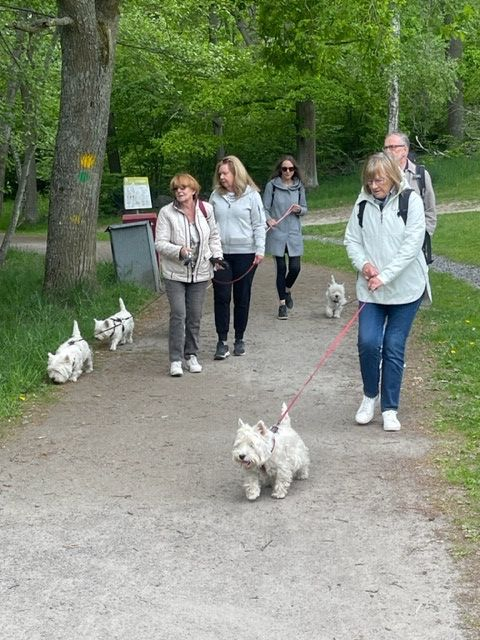 IMG 338