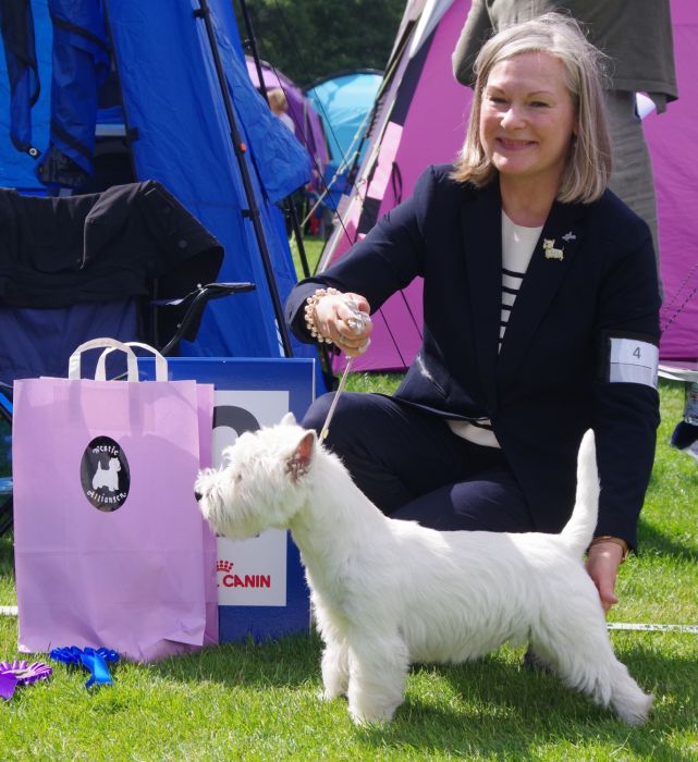 Valp 9 hane nr.2 402