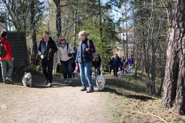 facebook 7061023594972118164 465