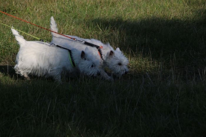 462113129 5774918504462596740 n 580