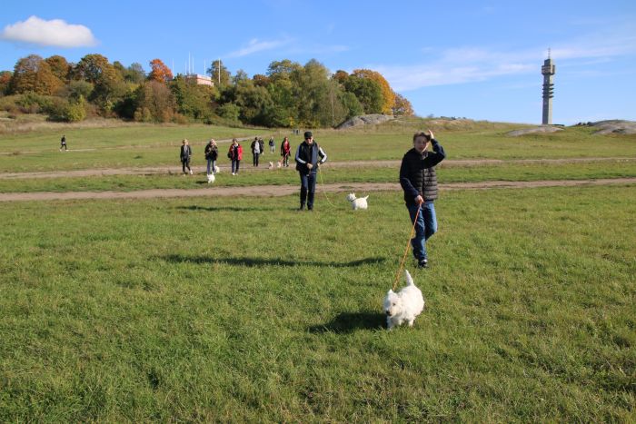 462113566 6891582588965838003 n 581