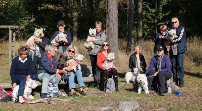 462137607 160605067187866105 n 582