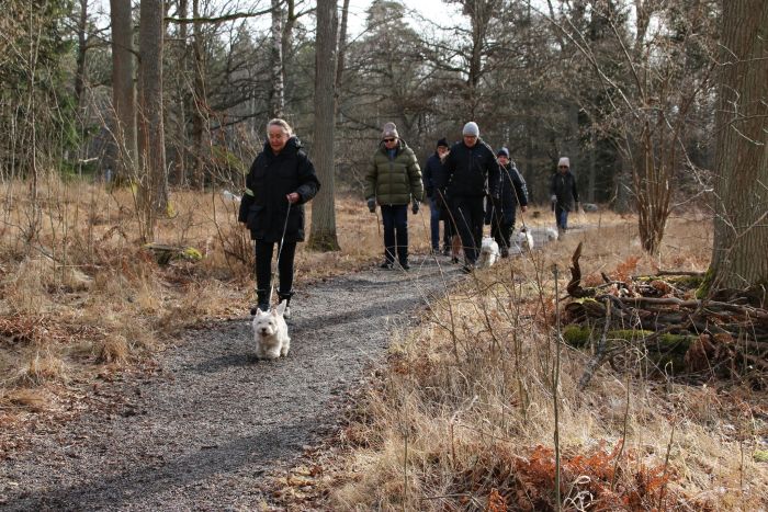 481464322 6653374085596607869 n 678