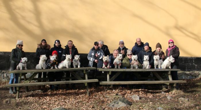 481507749 36856167125150314 n 683