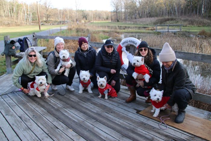 Messenger creationC1 05AD 41B8 BA5C 0549AC727163 604