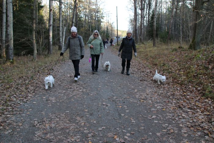 Messenger creationC45A8 84D7 47DE AA64 5910BD1D12CB 608