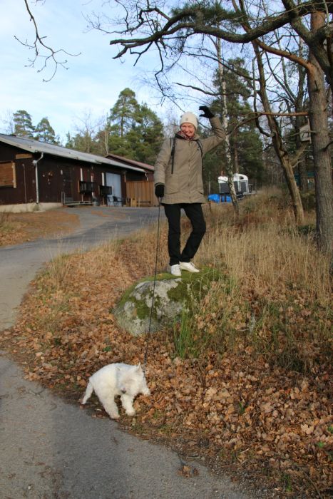 Messenger creationEF3E0F 42FE 45ED A9E6 D6BC0EF1C810 609