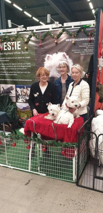 Messenger creation AB1CCFE2 4185 A970 77631A457FE8 614