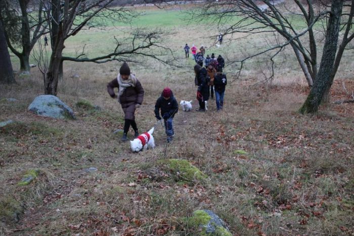 facebook 7269007098648530827 625