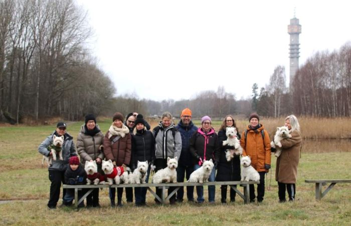 facebook 7269007292808993863 623