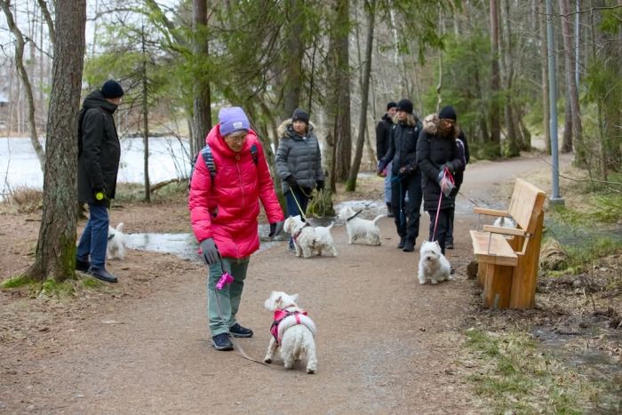 facebook 7305932060008713304 671