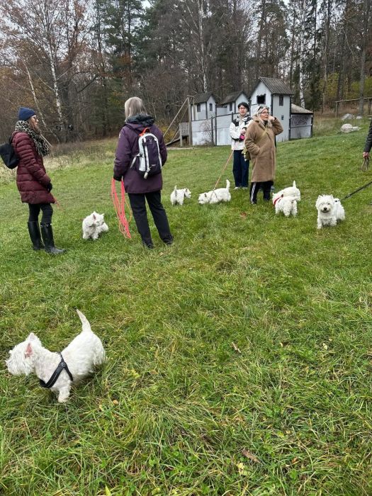 c7fe8bf3 d460a46 95a2 dc052faa0d98 1 all172 809