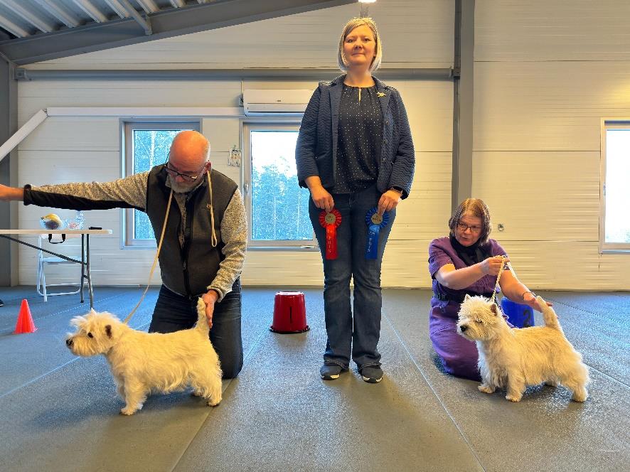 Finaste Hunden Tilde och Finaste Hanen Santi